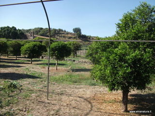 rme santa Venera07-10-2012 09-49-43